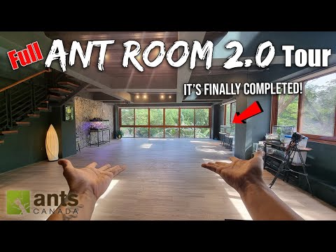 FULL TOUR of My New ANT ROOM 2.0 (Update on ALL Ant Colonies, Pets, Etc.)