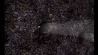 TCP/IP the Movie Part 2