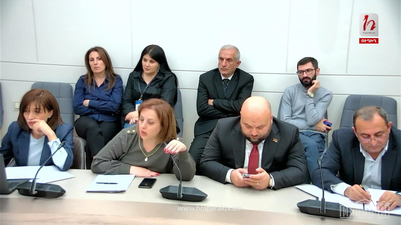 #Ուղիղ․ ԱԺ պետական-իրավական հարցերի մշտական հանձնաժողովի արտահերթ նիստ