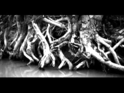 Stockholmssyndromet -- Radar (feat. Chapstahman)