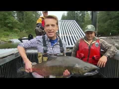 Name Is Giovanni Giorgio - Fish Canon