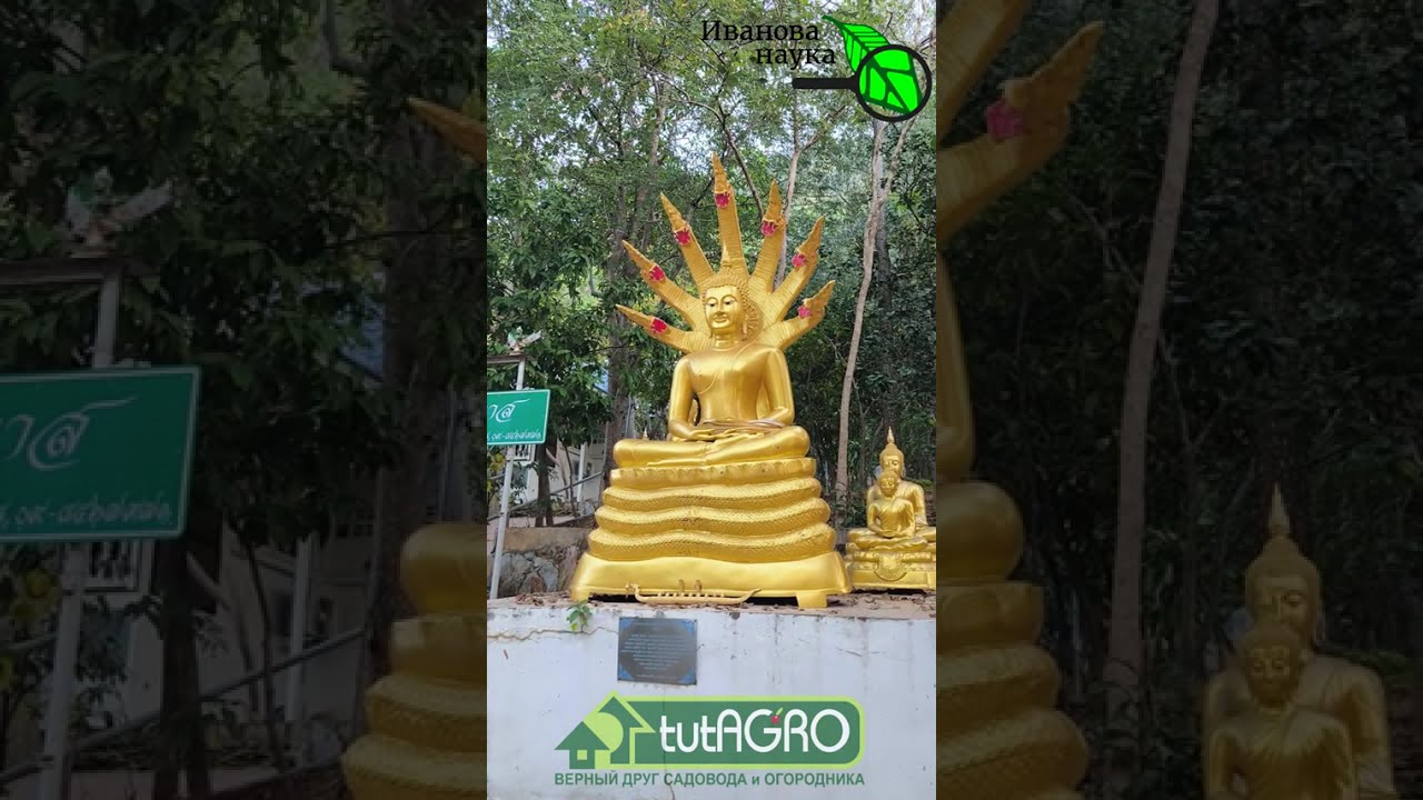 Вы будете поражены, узнав, какое откровение снизошло на меня в этом святом ме