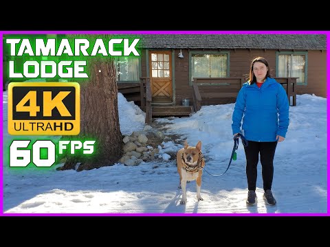 Tamarack Lodge Mammoth Mountain Vlog - 4K UHD 60fps Footage