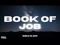 Full Book of Job for Sleep with Gentle Rain Sounds | Peaceful Bible Reading & Relaxation