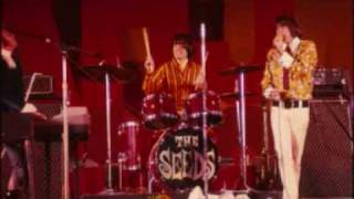 The Seeds - Tripmaker (live 1967)