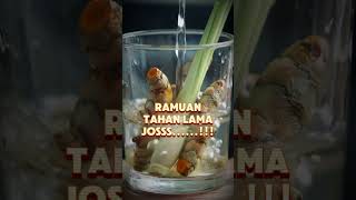 Download lagu Jadilah Pria Perkasa #obatkuat #tanamanobat #kunyit #serai #madu #jeruknipis #herbalalami #shorts mp3 Download lagu Jadilah Pria Perkasa #obatkuat #tanamanobat #kunyit #serai #madu #jeruknipis #herbalalami #shorts mp3