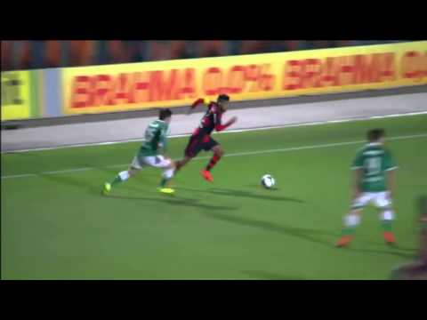 Palmeiras 2 x 2 Flamengo - Os Gols Brasileirão 2014 HD (17/09/14)