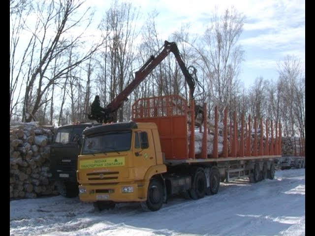 Нурлатская древесина для турецкого завода 