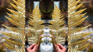 Download lagu Papinka semua tinggal cerita lirik mp3 Download lagu Papinka semua tinggal cerita lirik mp3