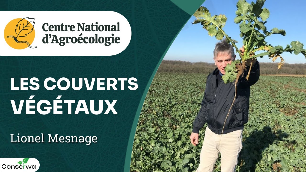 Couverts végétaux : un levier pour gagner de l’argent ! Lionel Mesnage - CNA