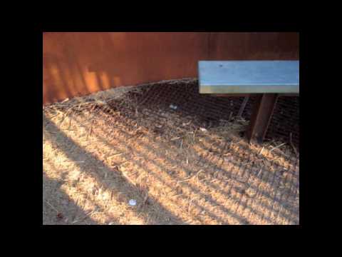 Trash Sahara in Lommel