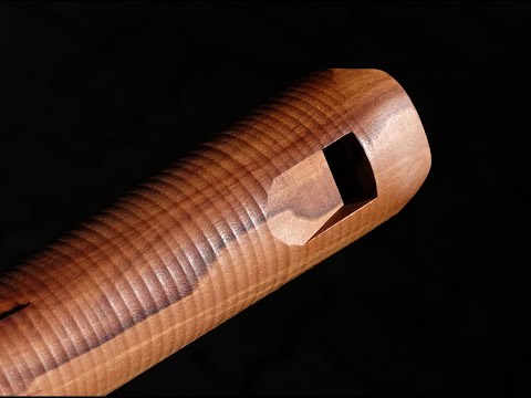 dynamischer Kurzschnabel