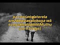 Driemo Nzanga