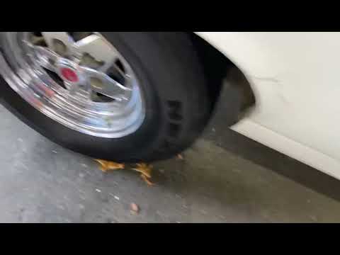 1971 Chevrolet El Camino (CC-1550706) for sale in Westford, Massachusetts