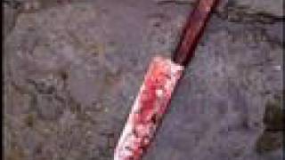 Moonlight -  La Dance Macabre