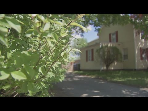 25 Investigates uncovers hundreds of people with criminal ...