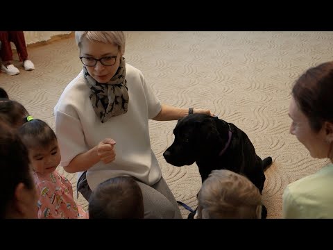 ХВОСТ, ЛЕЧАЩИЙ СЕРДЦА | Новости Камчатки | Масс Медиа