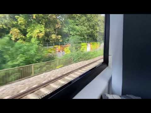 Mitfahrt RB 30 nach Herbruck r. Pegnitz mit außerplanmäßigem Halt und falscher Ansage. ​@regiotf206