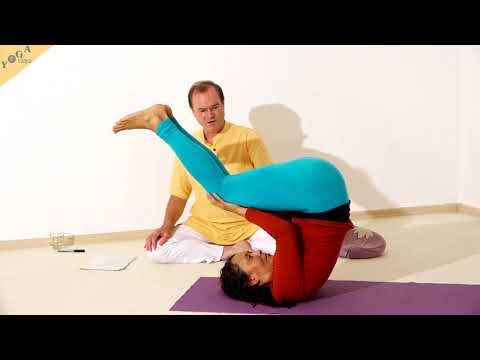 Knie stützen mit den Händen im Schulterstand - Yoga Asana Lexikon