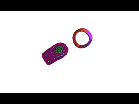 GeneABC Reis mit Provitamin A