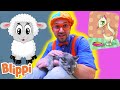 BLIPPI Humane Society Learn ABC 123 Moonbug Kids Fun Cartoons Learning Rhymes