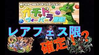 【パズドラ】みんなでフィーバーチャレンジガチャ　4R分回して見たら...!?