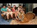 Living With Tigers: Family Share Home With Pet ...