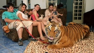 Living With Tigers: Family Share Home With Pet Tigers