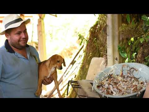 se nos vino diciembre