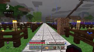 [マイクラ]   きまぐれ生配信！！ 初見さん大歓迎！せいち