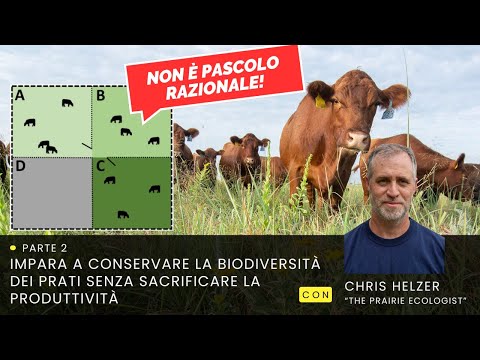 Open Gate Rotational Grazing: la pastorizia incontra l'ecologia