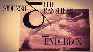 Siouxsie and the Banshees - This Unrest (LYRICS ON SCREEN) 📺