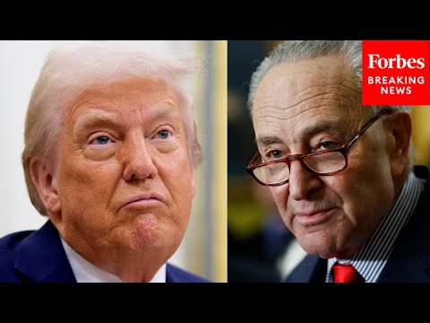 Video | Chuck Schumer Tears Intro Trump After President Calls Affordability A Democrat 'Hoax'