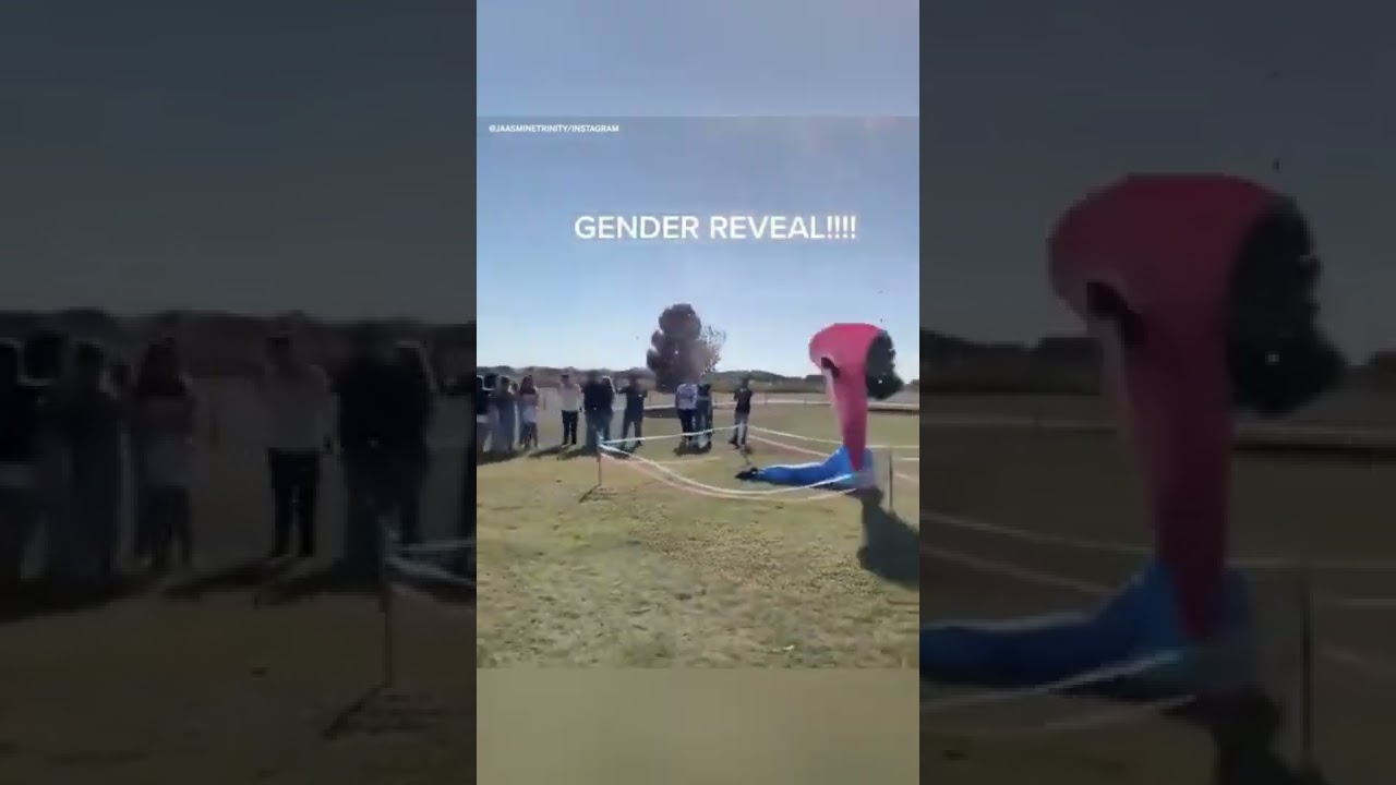 The best and worst gender reveal 😂