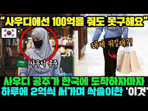 [유튜브] 사우디 공주가 한국에 도착하자마자 하루에 2억씩 써가며 싹쓸이한 '이것'의 정체 !