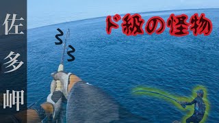 PALMS | 株式会社パームス PALMS | 株式会社パームス