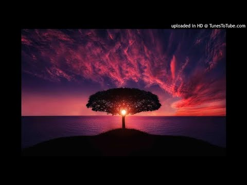 Surah Al-Muminun - Tafseer 23-27 English