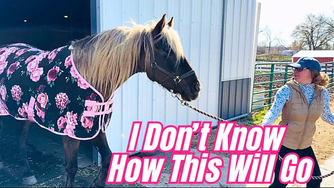 You Have NEVER Seen Us Do This With The Horses…