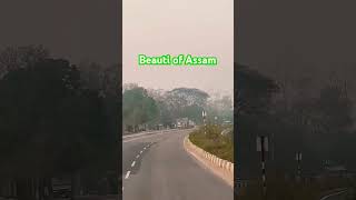 Download lagu View Sepon Assam #nature #roadtrip #vlog #dimpubaruah mp3