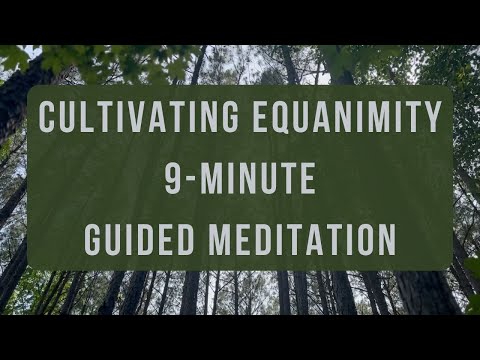 Cultivating Equanimity (Samatvam) - Guided Meditation