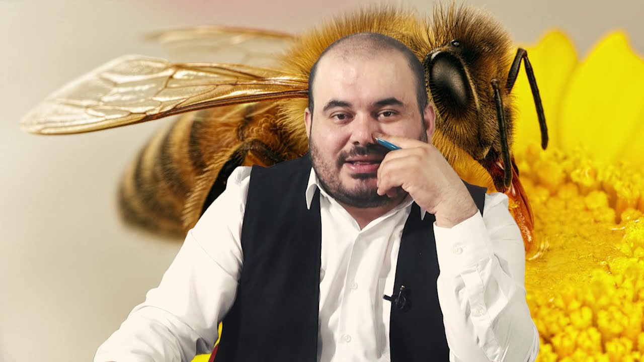 RÜYADA ARI GÖRMEK Esved Dini Rüya Tabirleri ve Yorumu Rüya Tabiri