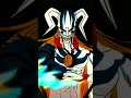 Fullbring Bankai Ichigo Vs Vasto Lorde Ichigo