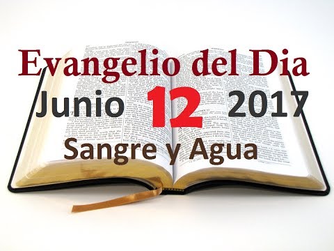 Evangelio del Dia- Lunes 12 Junio 2017- Jesus Nos Consuela- Sangre y Agua