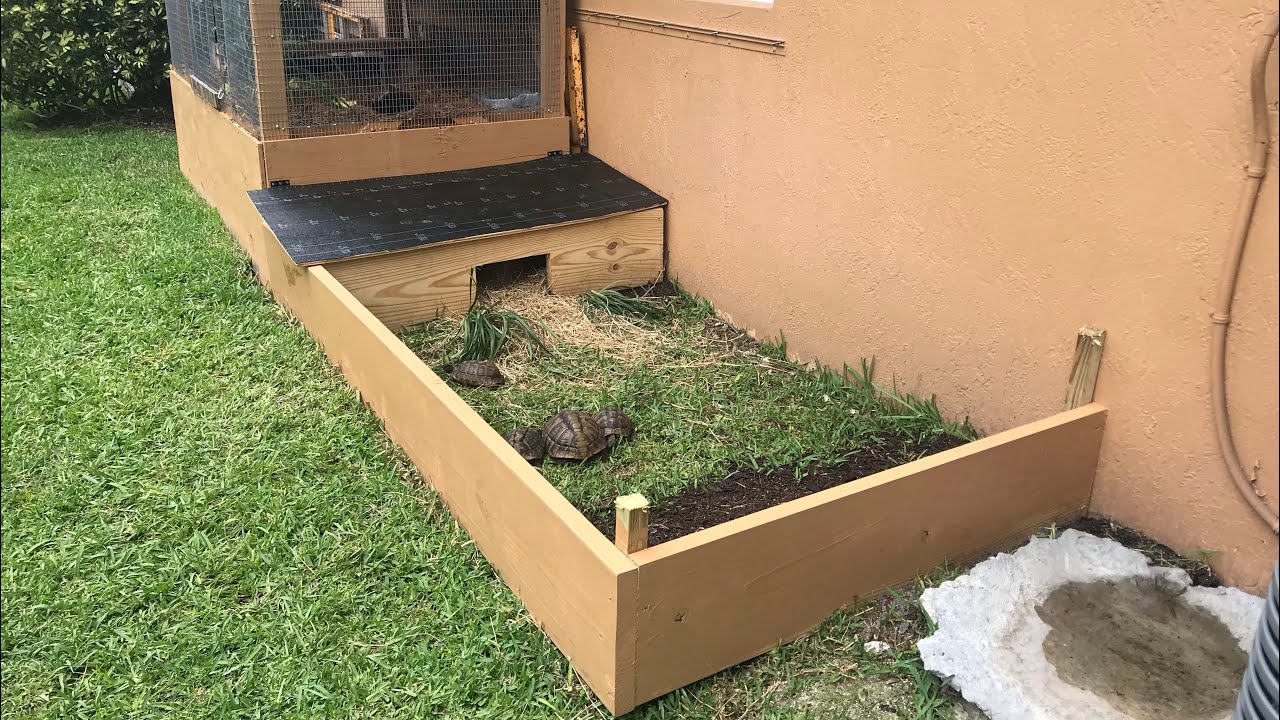 Watch video How to make an Outdoor Tortoise Enclosure Now How to make an Outdoor Tortoise Enclosure