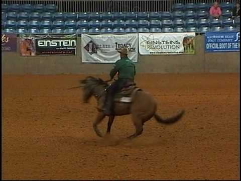 Nothing But a Good Ride - Shawn Flarida