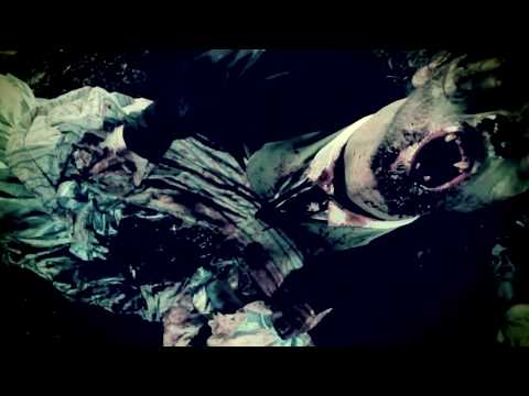 The Black Dahlia Murder - Moonlight Equilibrium (OFFICIAL VIDEO)