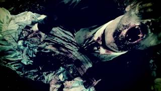 The Black Dahlia Murder &quot;Moonlight Equilibrium&quot; (OFFICIAL VIDEO)