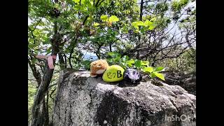 P246〜金銀山〜宗郷谷　2025.6.22