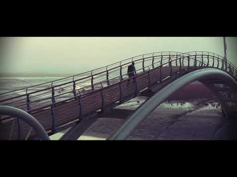 미생의 하이에나/킬리만자로의 표범 MV