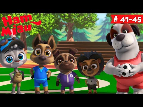 Desene animate în limba română 🐶 Ham Miau 🐱 ep. 41-45 | HeyKids